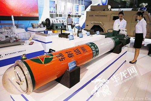 重慶軍工產(chǎn)業(yè)集團(tuán)亮相軍博會 NBC偵察車與應(yīng)急保障車助力核化事故應(yīng)對